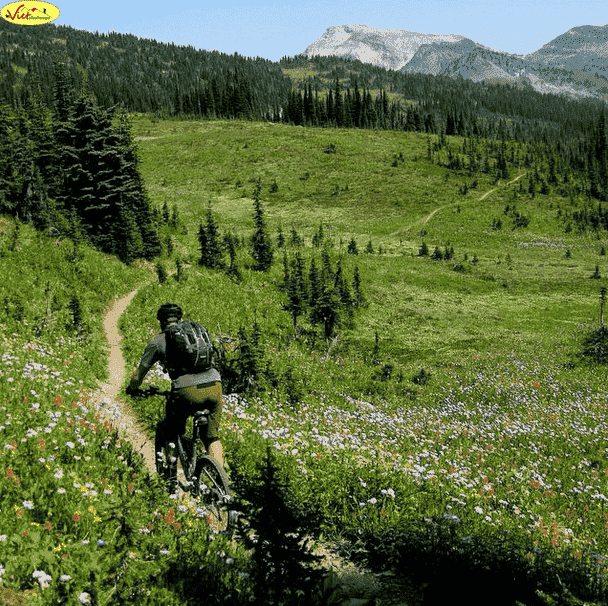 10 Reasons Mountain Biking Makes You Awesome 10 Reasons Mountain Biking Makes You Awesome